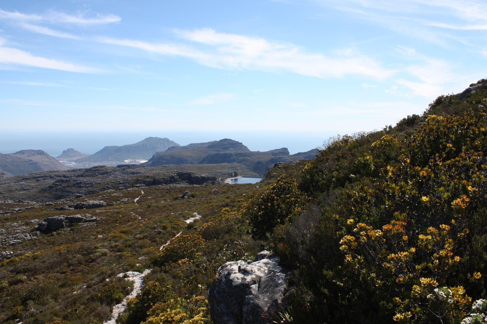 Blick über das Back Table auf einen Stausee, davor ein Pfad durch blühenden Fynbos