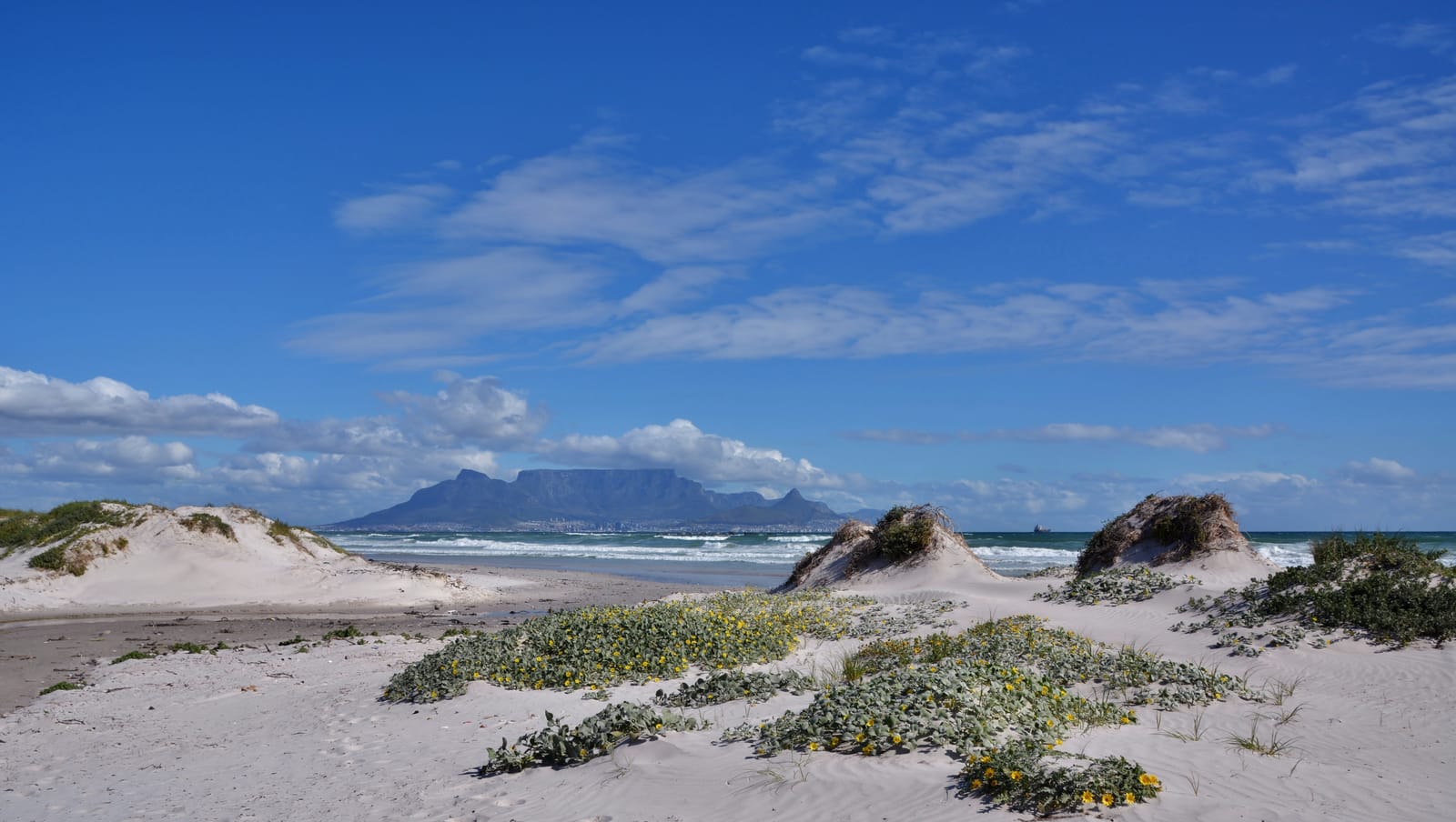 Dünen mit Gras bei Big Bay, weit im Hintergrund der Tafelberg unter blauem Himmel