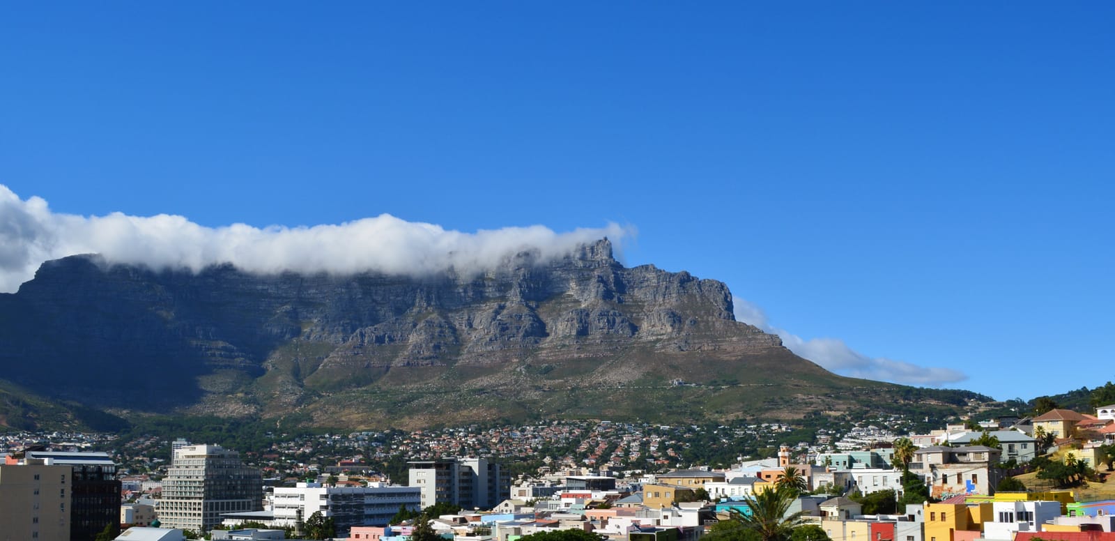 Der Tafelberg mit einer weißen Wolkendecke über der flachen Kante, davor die Häuser der Kapstädter City Bowl unter blauem Himmel