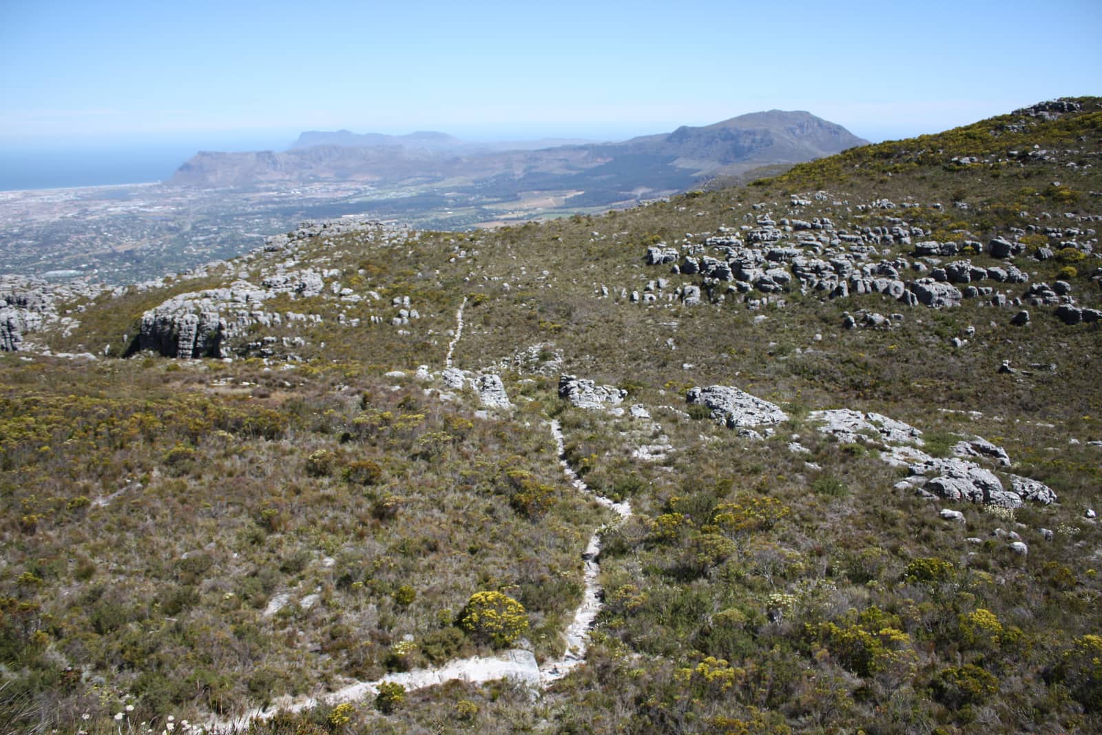 Schmaler heller Pfad über das steinige Plateau, ringsum niedriges Fynbos und Felsplatten, in der Ferne Meer und Berge