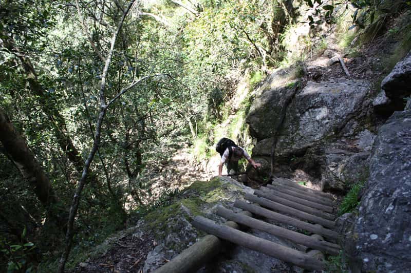 Hölzerne Leiter und Stufen führen im Schatten des Waldes über Felsen einen steilen Hang hinauf, eine Wanderin klettert voraus